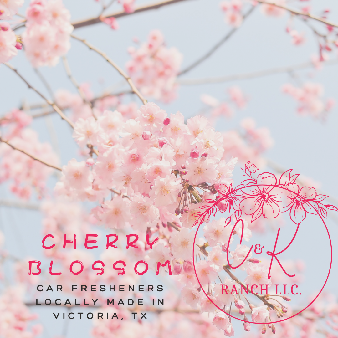 Cherry Blossom - Car Freshie